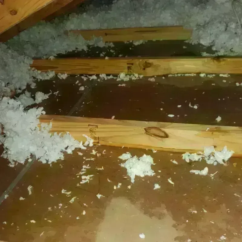 Attic Water Damage in Florida City, FL