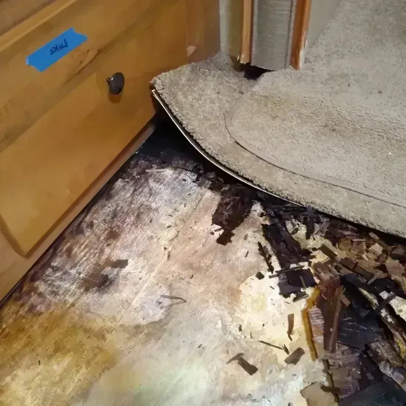 Best Wood Floor Water Damage Service in Florida City, FL